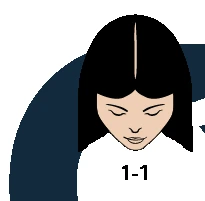 L1-1